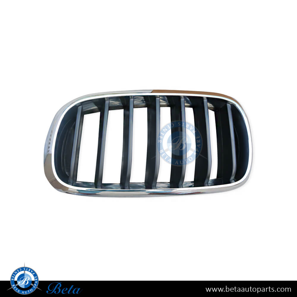 Left Side Radiator Grille - Black and Chrome for BMW X5 F15 2014-2018 models, Part Number 51137294485 Left Side Radiator Grille - Black and Chrome for BMW X5 F15 2014-2018 models, Part Number 51137294485